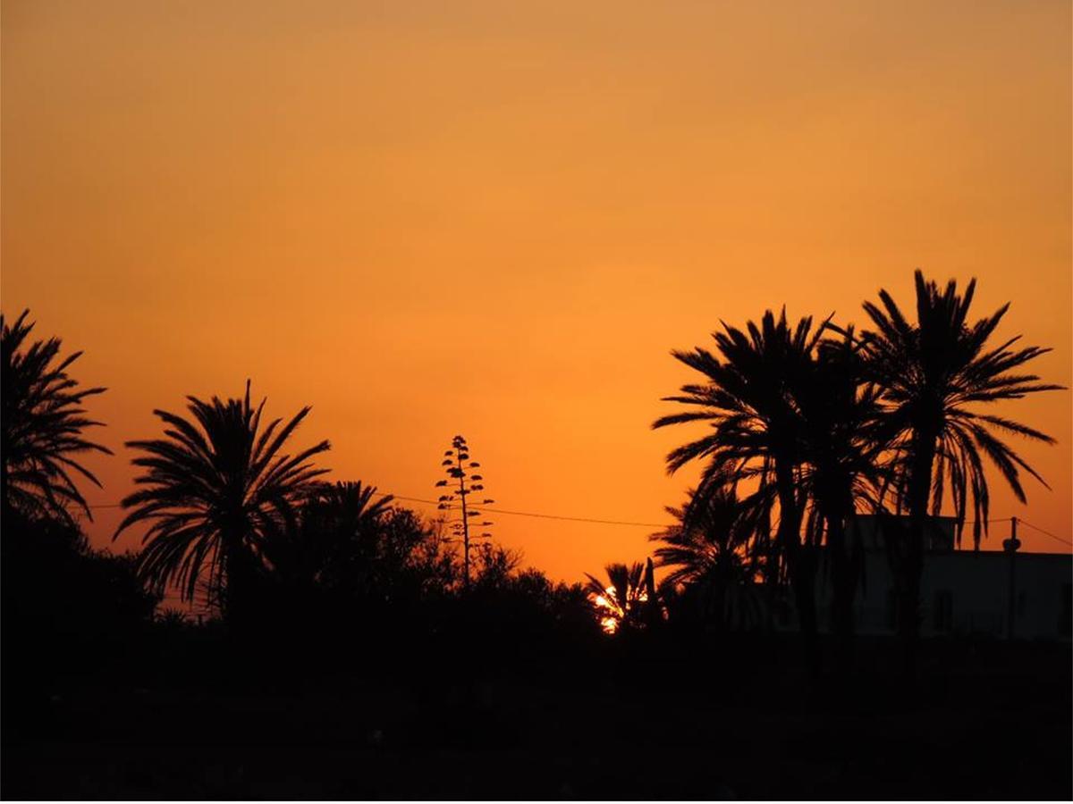 Bed and Breakfast Dar Jasmin Djerba Temlale Esterno foto