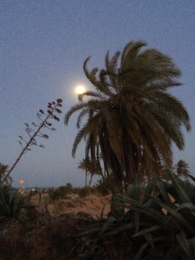 Bed and Breakfast Dar Jasmin Djerba Temlale Esterno foto