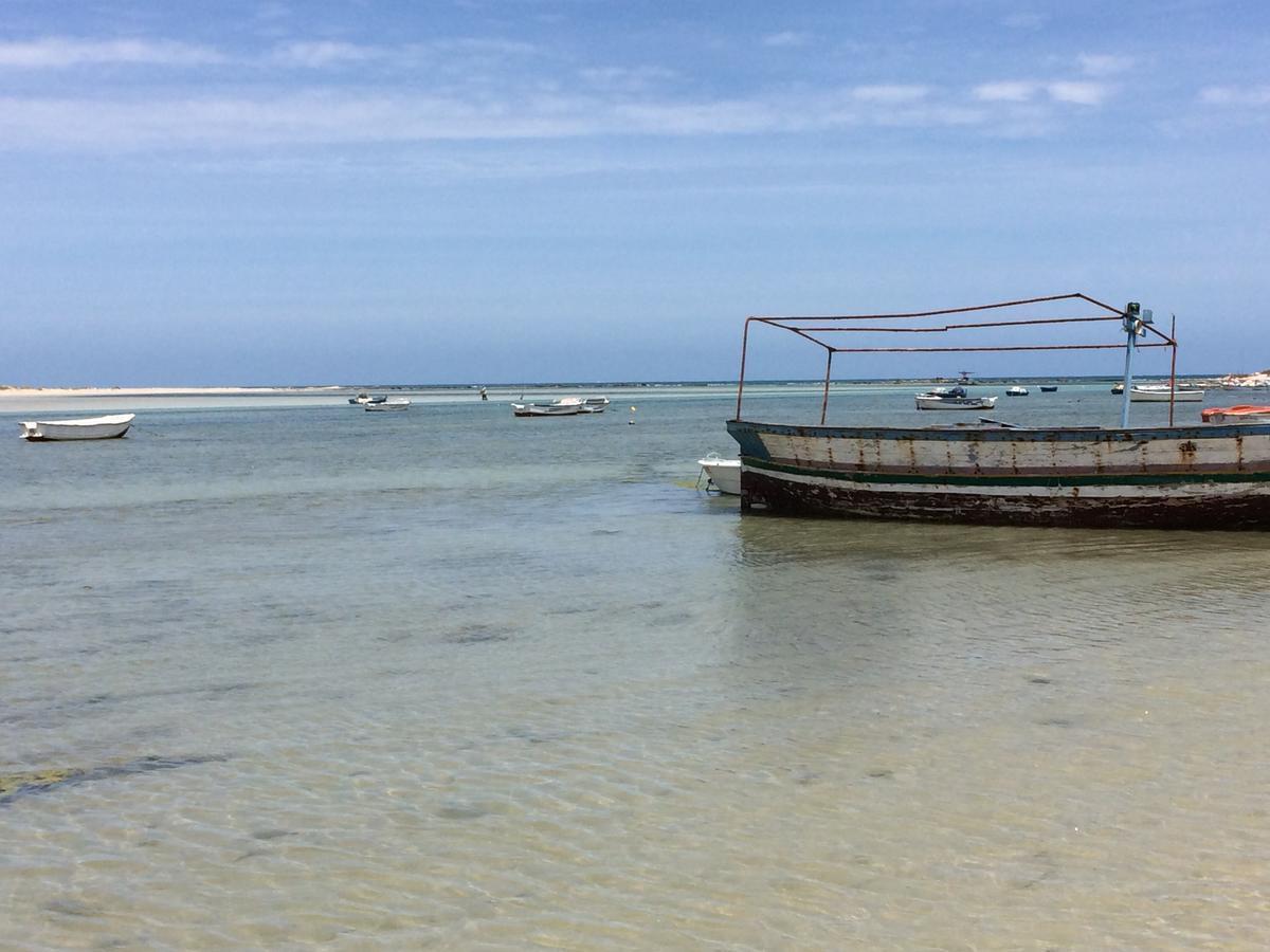 Bed and Breakfast Dar Jasmin Djerba Temlale Esterno foto
