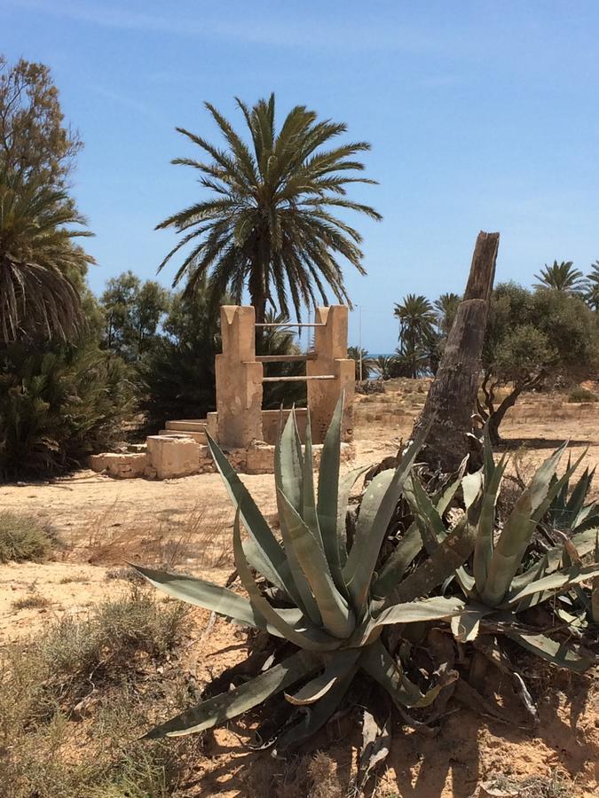 Bed and Breakfast Dar Jasmin Djerba Temlale Esterno foto