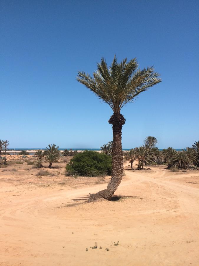 Bed and Breakfast Dar Jasmin Djerba Temlale Esterno foto