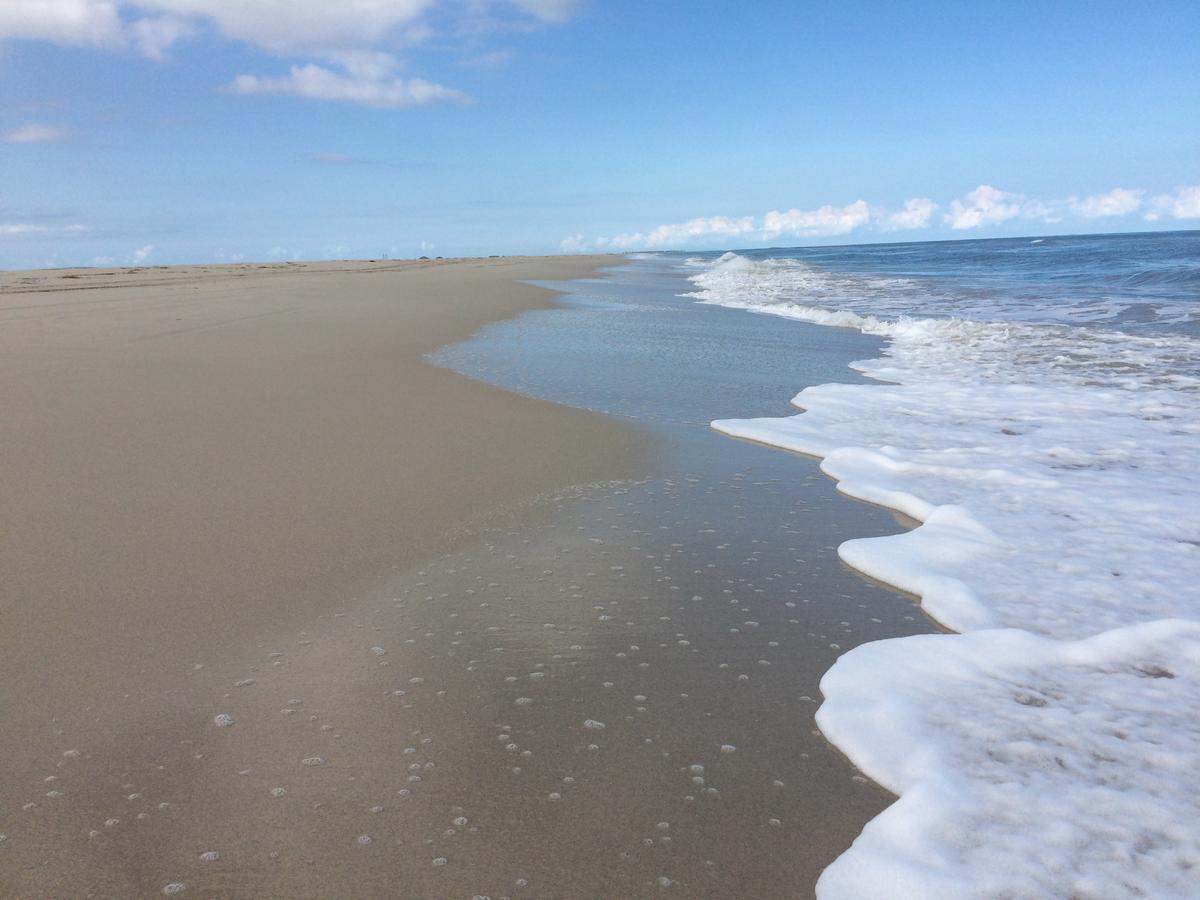 Bed and Breakfast Dar Jasmin Djerba Temlale Esterno foto