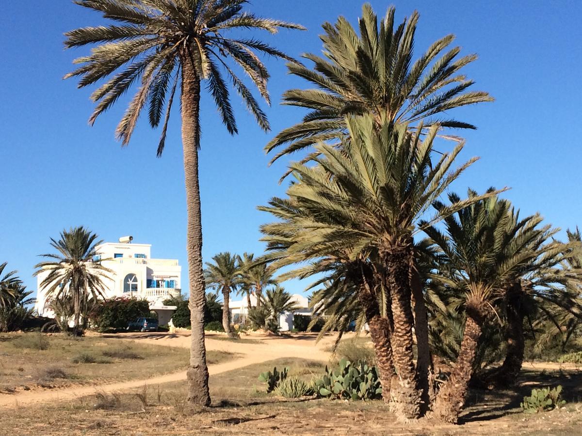 Bed and Breakfast Dar Jasmin Djerba Temlale Esterno foto